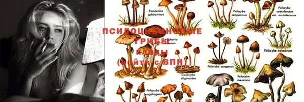 MDMA Premium VHQ Семикаракорск