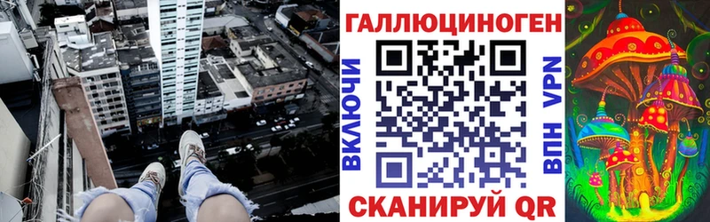 где можно купить   Семёнов  Галлюциногенные грибы Magic Shrooms 